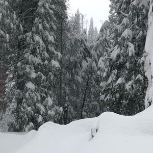 Meet your Posher, Wanda